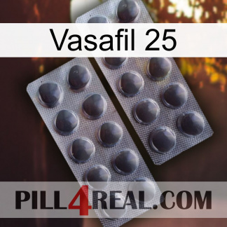 Vasafil 25 31